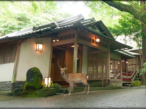 奈良・春日奥山　月日亭